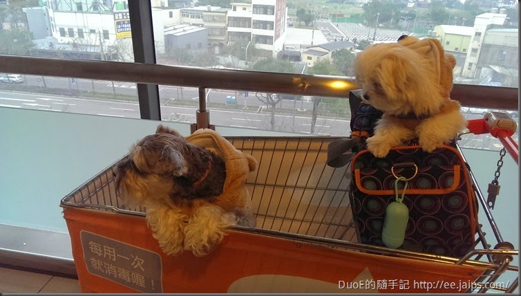特力屋寵物專用推車 特力屋寵物專用推車