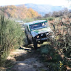 IMG_7736.JPG