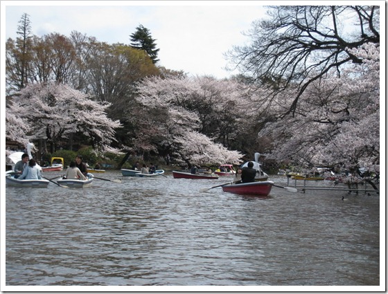 井之頭公園5