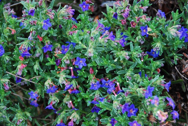 [DSC_0096%255B2%255D.jpg]