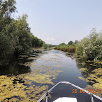DSCN8325.JPG