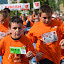 tomegfut_galeria103.jpg
