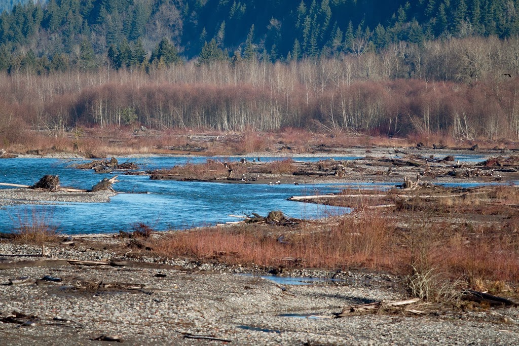 [IMG_3165%255B3%255D.jpg]