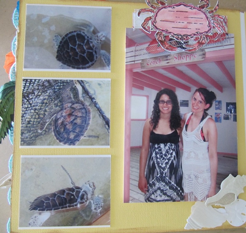 [IMG_1013%255B4%255D.jpg]