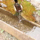DSC00742.JPG