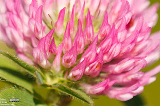 tamron180reviewsample-1-1