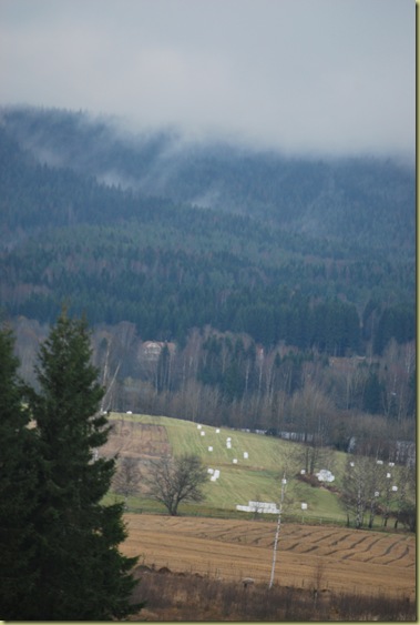 2011-10-30 - Hayrolls and Foggy Hills