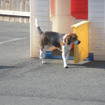 DSCN4749.jpg