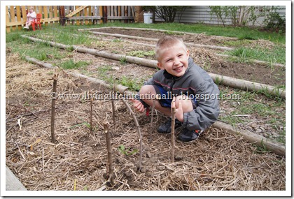 How to Build an American Early Settler Wattle & Daub House for Homeschool Kids How to Build an American Early Settler Wattle & Daub House for Homeschool Kids