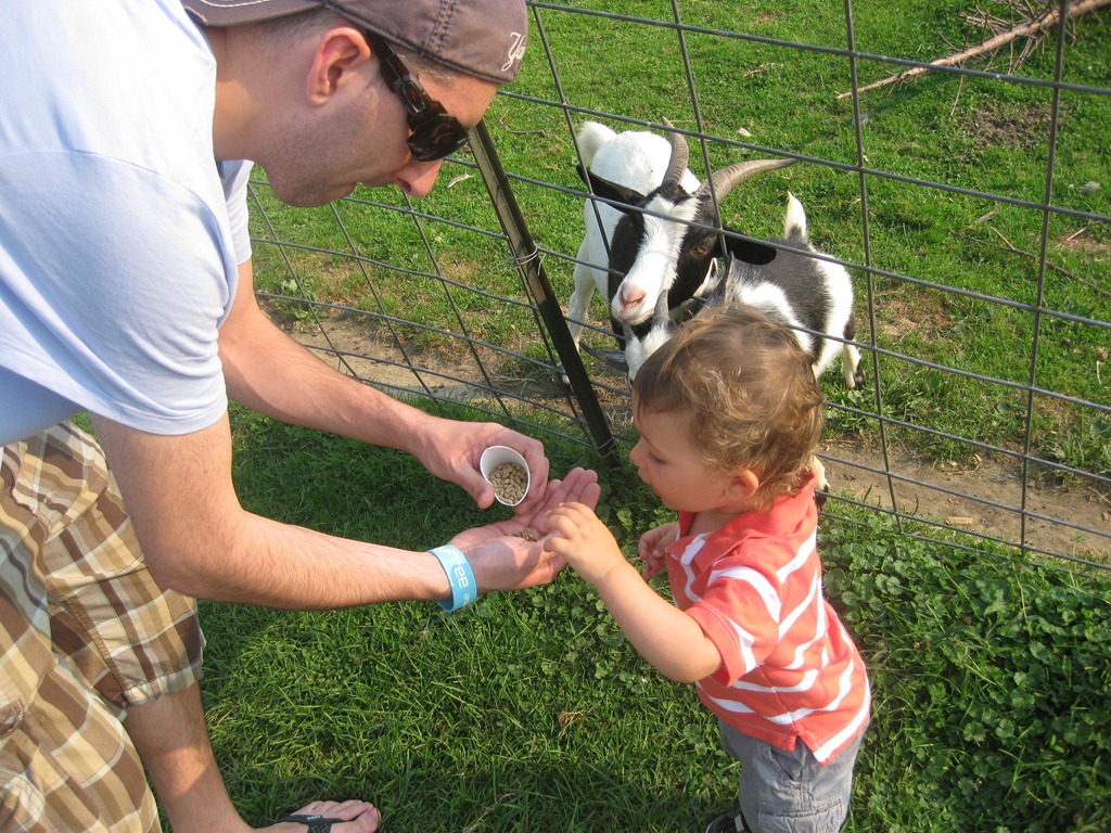 [2012.08.17%2520Petting%2520Zoo%2520%25284%2529%255B3%255D.jpg]