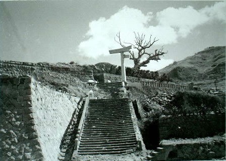 Sanno_torii_and_camphor_trees