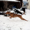 youf_im_schnee_1_01.10.jpg