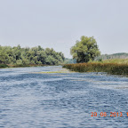 DSCN8183.JPG