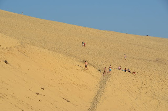 Dune di Pilat