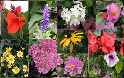 NOTL flowers.jpg NOTL flowers