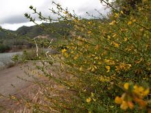 P6055733