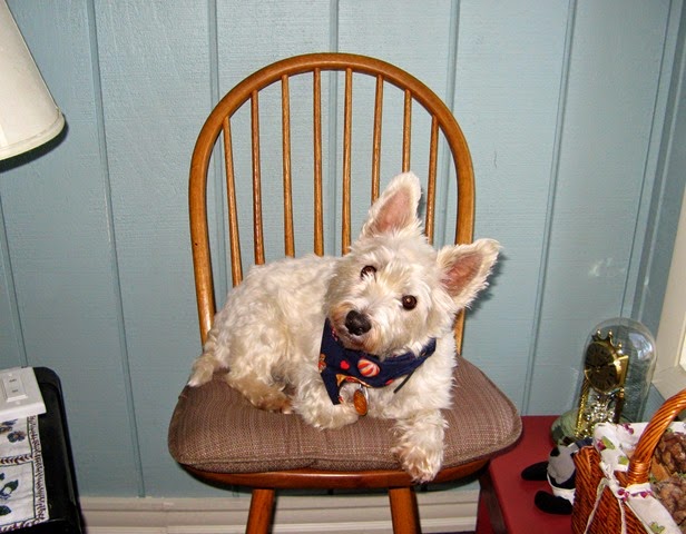 [2010%252011%252063%255B3%255D.jpg]