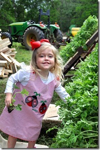 planting watermelons 032212 (63)