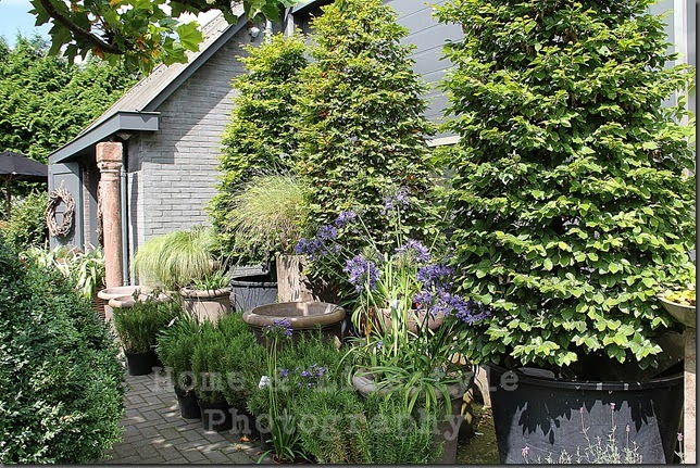 Home & Lifestyle Home & Lifestyle