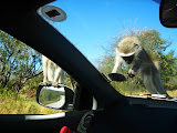 South Africa - 158.JPG