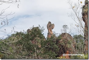 Pedra com formato de galinha