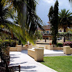 FL 2009 American Orchid Society (79).JPG