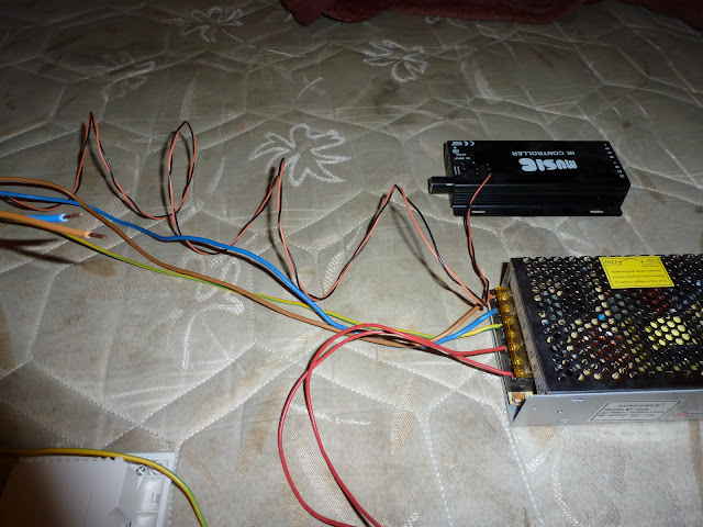 P1000073.JPG