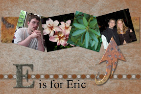 picasa image