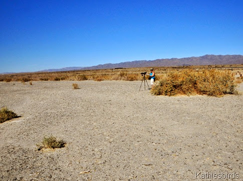 22. me at the salton sea-gusto