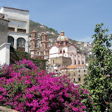 IMG_0664.JPG