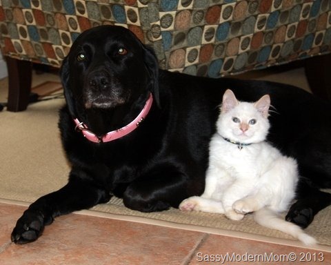 [MaddyAndPhineas8.jpg]