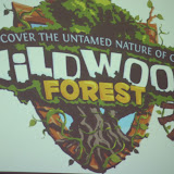 VBS 2009 - "Wildwood Forest"