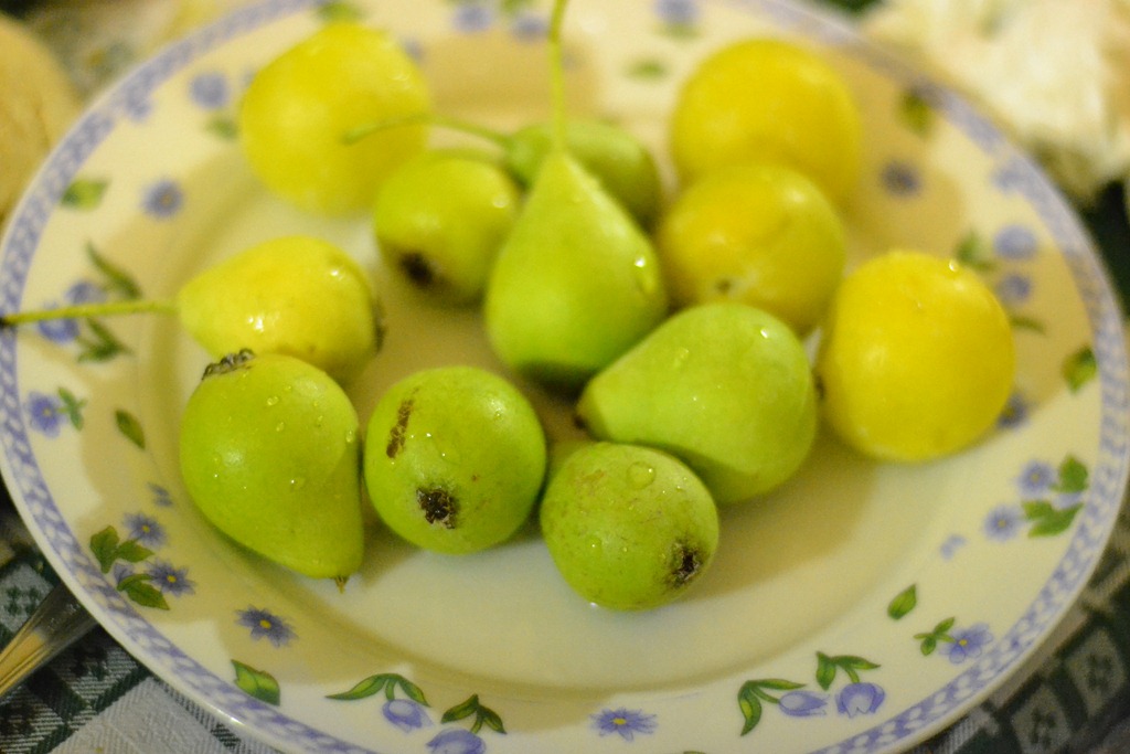 [DSC_0458%255B5%255D.jpg]