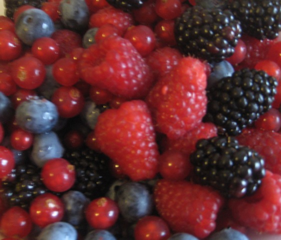 [IMG_43335.jpg]