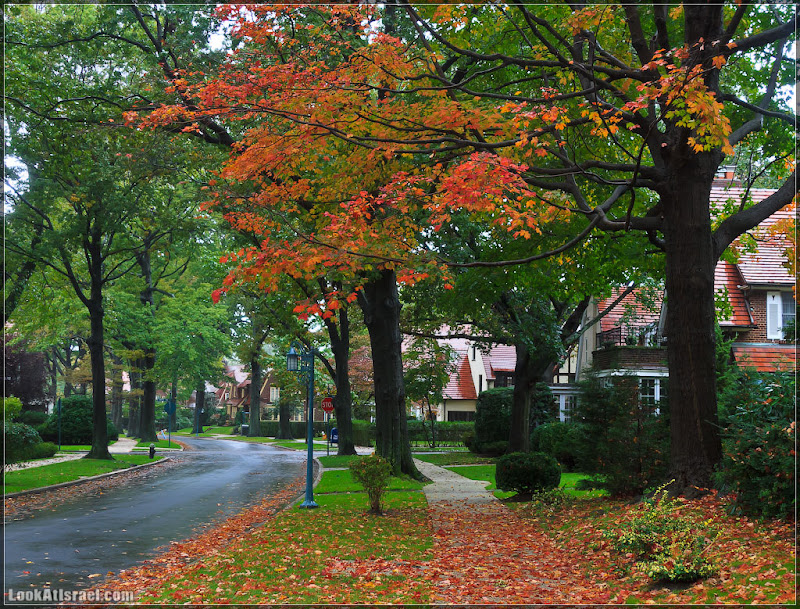 Америка 2.0 / Нью Йорк   Forest Hills (foto america  фото природа дождь и снег new york  20111019 usa ny forest hills 034 9113)