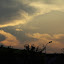 SH_Expo_0084.JPG