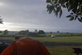 DSC_0995.JPG