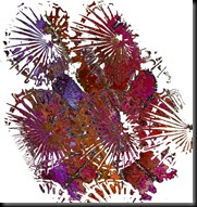 palm1a