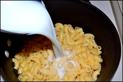 pasta and milk pasta and milk
