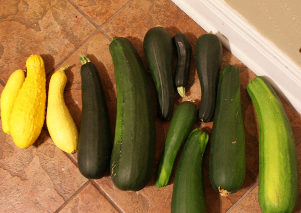 [DSC08266%255B7%255D.jpg]