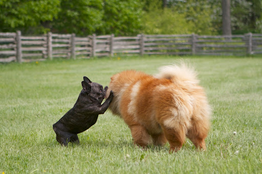 Take that, big boy!