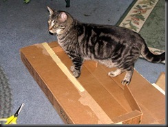 IMG_0012 IMG_0012