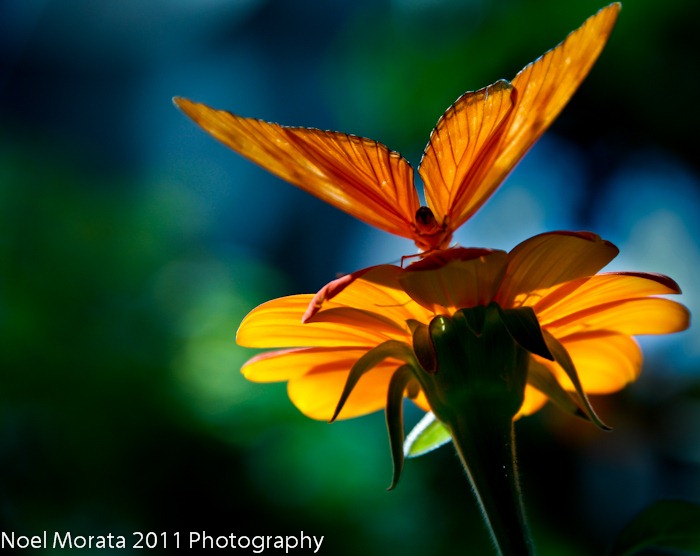 [_MG_61665.jpg]