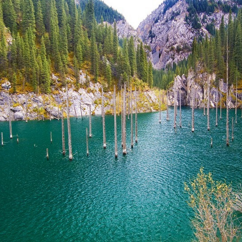 The Sunken Forest of Lake Kaindy