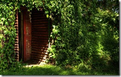 9 Beautiful Nature Wallpaper