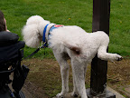 002yd5g1.jpg 002yd5g1.jpg