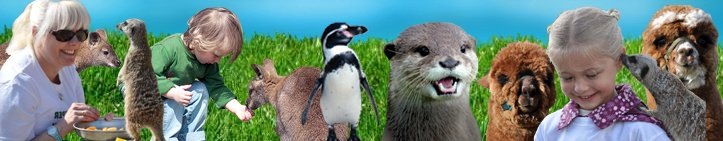 [Seaview%2520montage%255B6%255D.jpg]