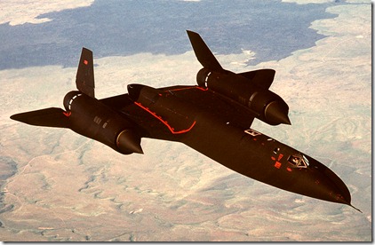 blackbird299939393