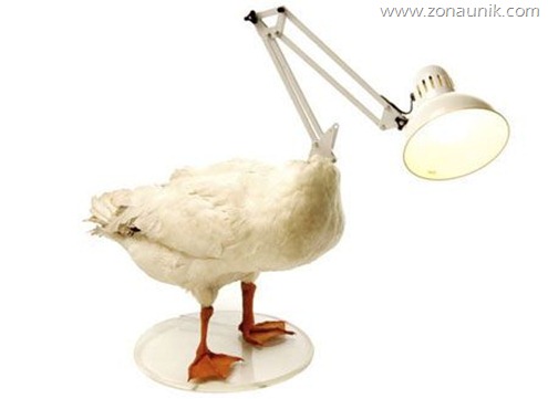 dead-duck-lamp