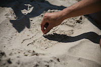 IMG_4721.JPG